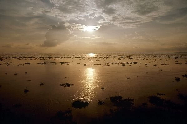 CONGO: CONGO RIVER. Sunset on the Congo River near Kinshasa, Zaire (Democratic Republic of the Congo). Photographed in 1974
