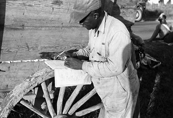 COTTON PICKER, 1935. An African American cotton worker calculates the weight of