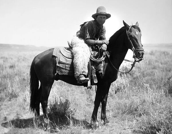 A cowboy, Honeycut, on the horse White Star on the plains of Montana. Photographed by Laton Alton Huffman, August 1904