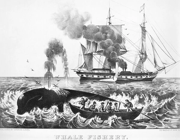 CURRIER & IVES: WHALING. Lithograph, American, 19th century