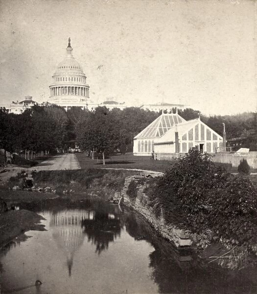 D. C. : BOTANIC GARDENS. The United States Botanic Gardens in Washington D. C. Photograph