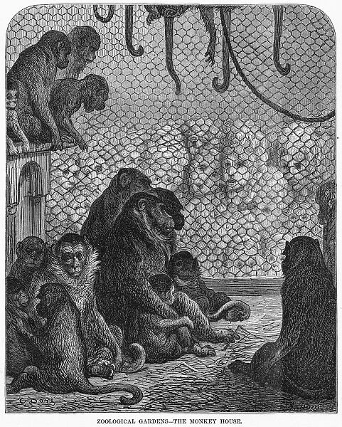 DORE: LONDON, 1872. Zoological Gardens - The Monkey House. Wood engraving after Gustave Dore