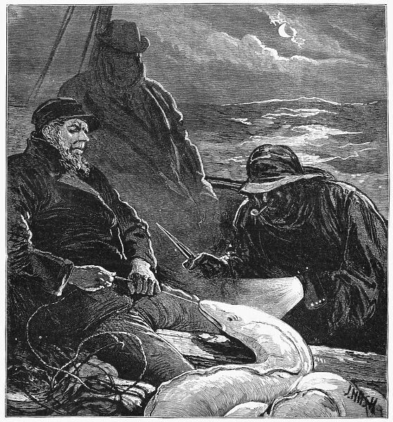 EEL FISHING, 1883. Fishermen pulling in a conger eel off the coast of England. Engraving
