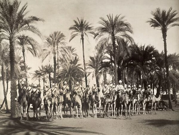 EGYPT: BRITISH CAMEL CORPS. Mounted soldiers of the British colonial army in Egypt