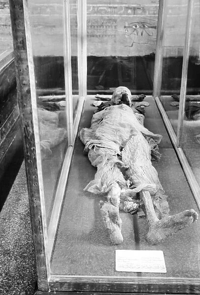 EGYPT: CAIRO. The mummy of a pharaoh in the Cairo Museum, Cairo, Egypt. Photograph