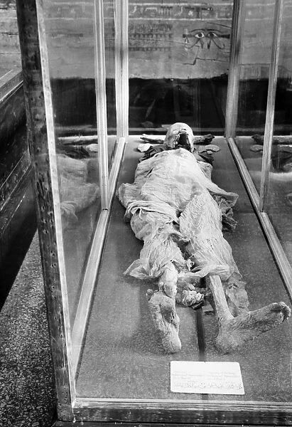 EGYPTIAN MUMMY. Ancient Egyptian mummy of a pharaoh, on display at the Cairo Museum