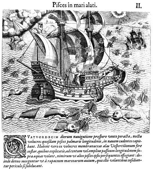 FLYING FISH, 1594. Flying fish, attempting to escape predators, fall on the deck of Italian explorer Girolamo Benzonis ship in West Indian waters, 1541. Engraving, 1594, by Theodor de Bry