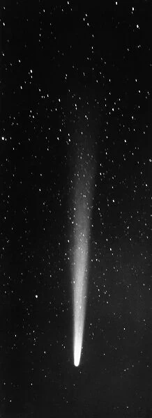 HALLEYs COMET, 1910. Photographed on May 12, 1910 from Honolulu with 10-inch focus
