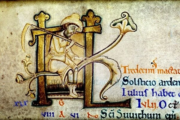 HARVESTING, c1140. Man with a scythe. English manuscript illumination