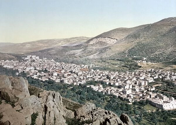 HOLY LAND: NABLUS. View of the vale of Nablus. Photochrome, c1895