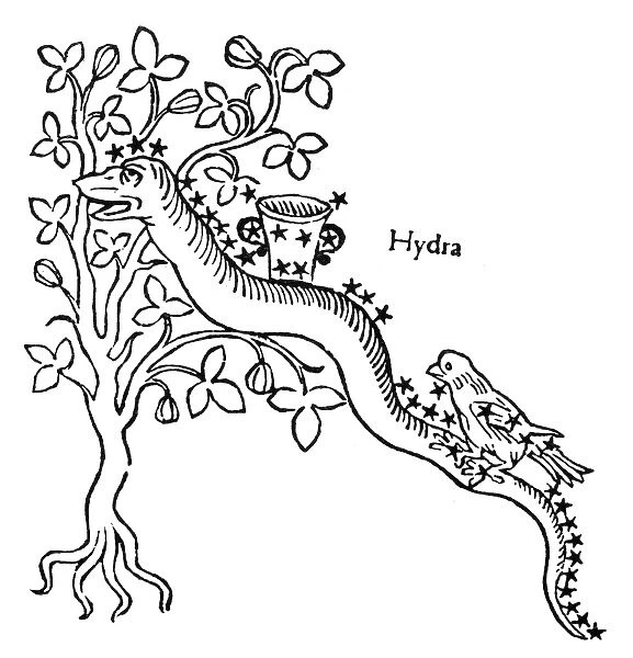 HYDRA, CRATER AND CORVUS. Figurations of the constellations Hydra, Crater and Corvus