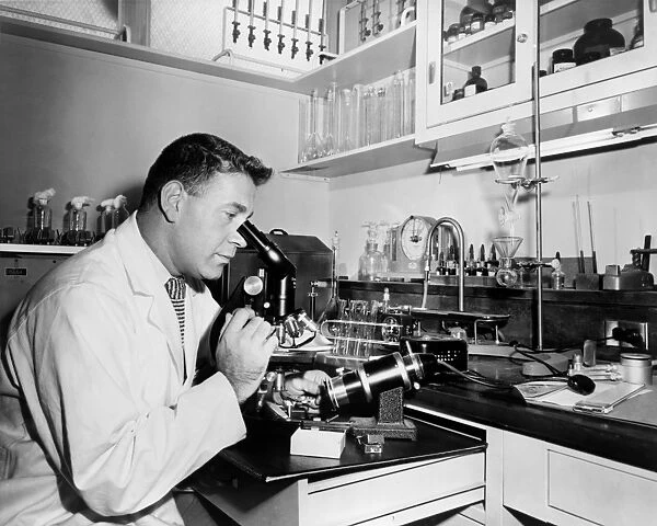 INFERTILITY CLINIC, 1956. Chief microbiologist Henry Isenberg examining a specimen