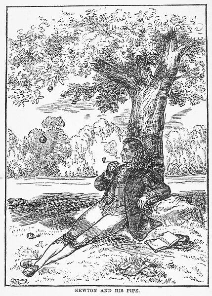 ISaC NEWTON AND THE APPLE. English physicist and mathematician. Observing an apple fall to the ground while seated beneath a tree, c1666. Wood engraving, 19th century