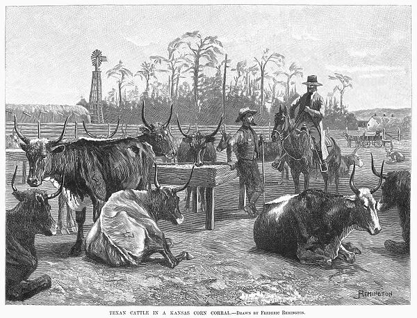 KANSAS: TEXAN CATTLE, 1888. Longhorn cattle from Texas in a Kansas corn corral. Wood engraving, 1888, after Frederick Remington