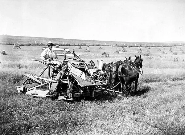 McCORMICK HARVESTER. Demonstration of the horse-drawn harvester and binder invented