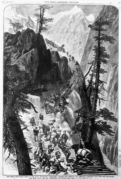 MINERS ON CORDUROY ROAD. Prospectors traveling on their way to a new strike over a corduroy road through a Colorado mountain pass. Wood engraving, American, 1879