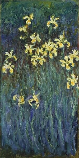 MONET: YELLOW IRISES. Oil on canvas, Claude Monet, c1915