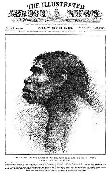 PREHISTORY: PILTDOWN MAN. A reconstruction of the head of the Piltdown Man (here