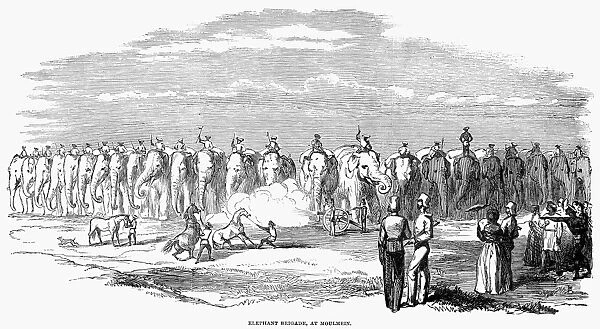 SECOND BURMESE WAR, 1852. The British elephant brigrade at Moulmein, Burma. Wood engraving, English, 1852