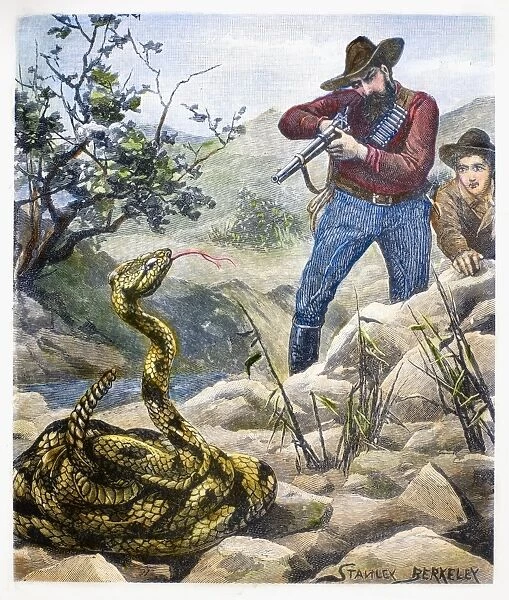 SHOOTING A RATTLESNAKE. A hunter prepares to shoot a rattlesnake. Line engraving, English, late 19th century, after Stanley Berkeley