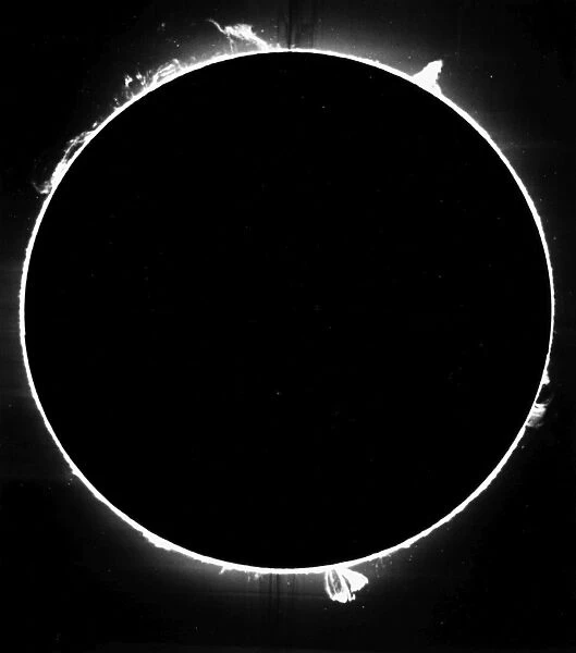SOLAR PROMINENCES. The whole edge of the sun taken with calcium K line, 9 December 1929
