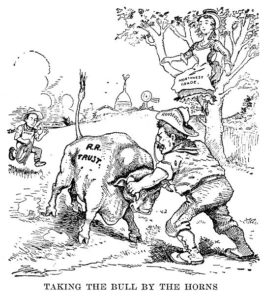 Taking the Bull By the Horns. Cartoon from the Minneapolis Journal on President Roosevelts action in bringing suit against the Northern Securities Corporation
