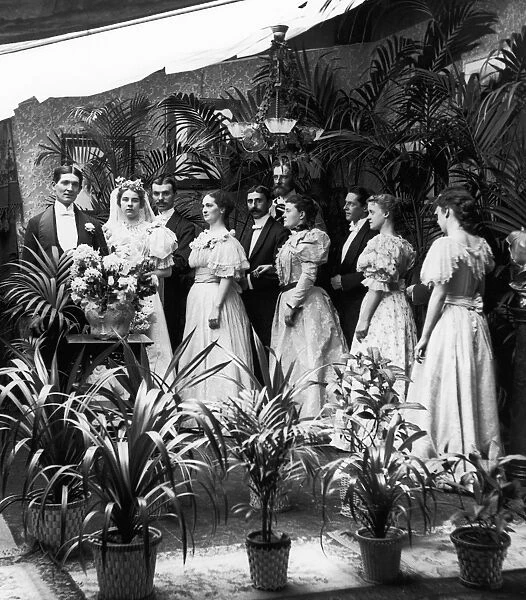 WEDDING PARTY, 1897. American wedding party photographed, 1897, surrounded by potted