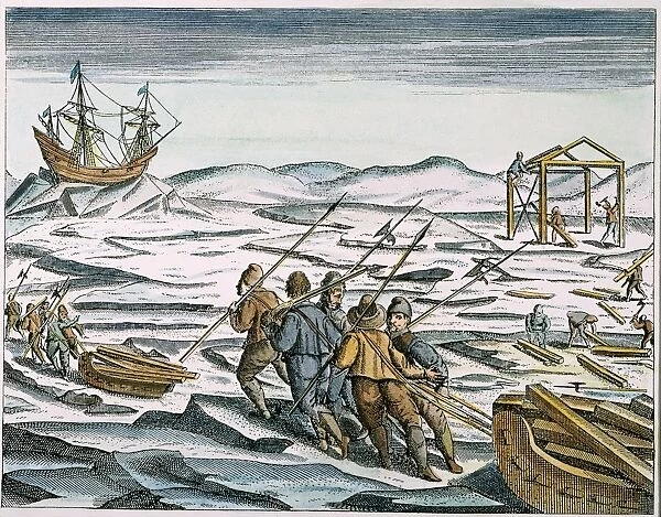 WILLEM BARENTS (c1550-1597) and his men building a wooden house for over-wintering during Barents last voyage: line engraving, 1598