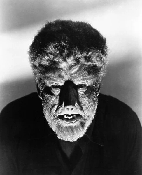WOLFMAN, 1941. Lon Chaney, Jr., in the title role of The Wolfman, 1941