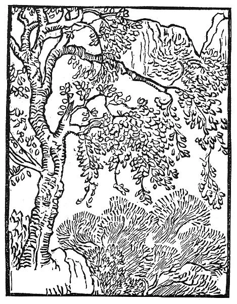 A WOODED MOUNTAIN SCENE. Woodcut by Aristide Maillol, c1913, for Vergils Eclogues
