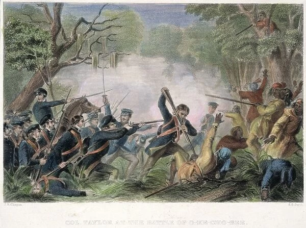 ZACHARY TAYLOR (1784-1850). Twelfth President of the United States. General Taylor leading a force against the Seminoles in the Florida Everglades at the Battle of Lake Okeechobee, 25 December 1837. Steel engraving, American, 19th century