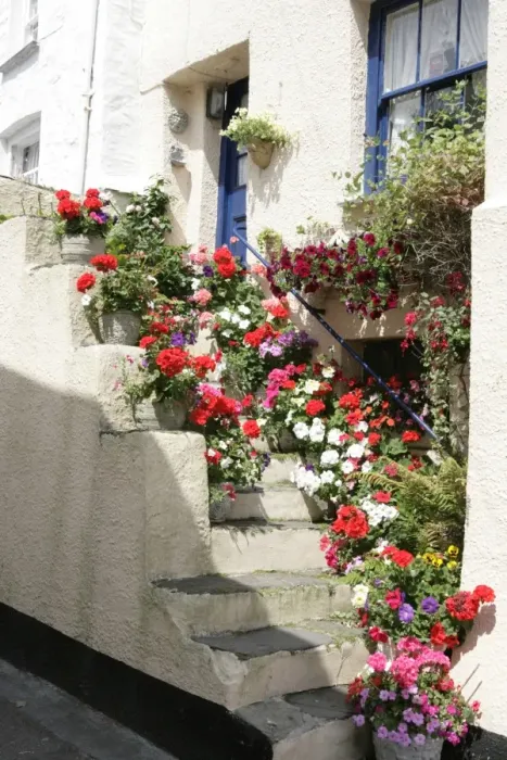 Framed Print : Polperro Cottage Print: Cornwall Village Scene Framed Print : Polperro Cottage Print: Cornwall Village Scene