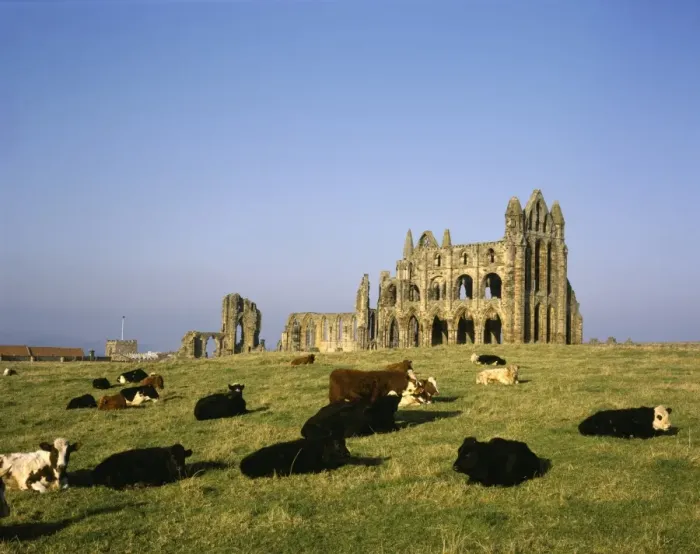 Framed Print : Whitby Abbey Print - Winter Afternoon Scene Framed Print : Whitby Abbey Print - Winter Afternoon Scene