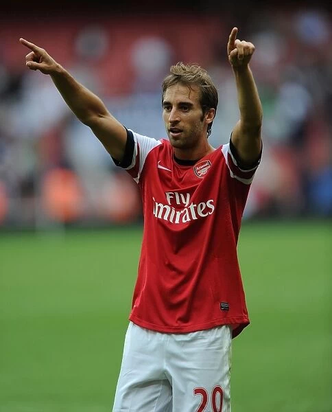 Mathieu Flamini's Celebration: Arsenal's Victory Over Tottenham Hotspur (2013-14)