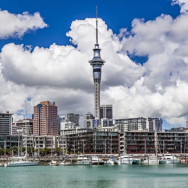 The Sky Tower at Auckland, New Zealand