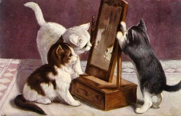 Three kittens playing with a mirror