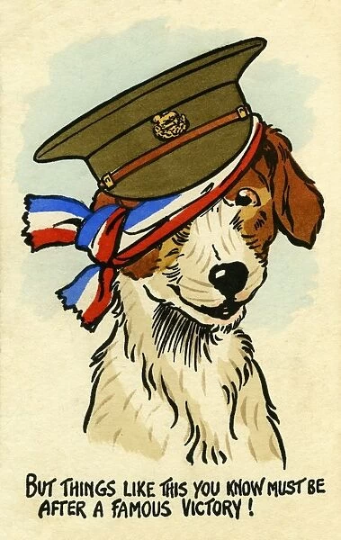 Patriotic terrier