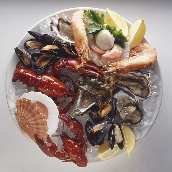 Assortment of sea food on ice, served on round plate, view from above