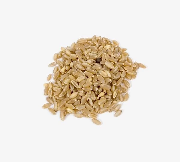 Ble or grano (durum wheat)