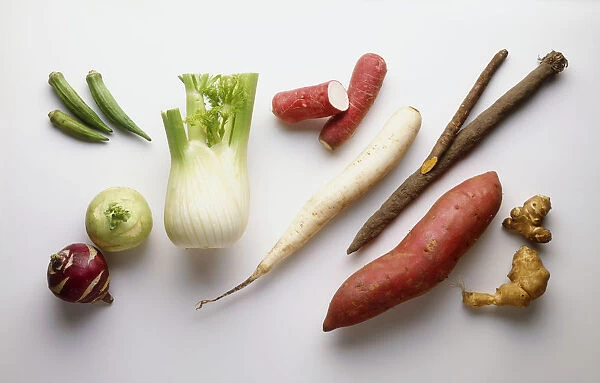Collection of vegetables, including kohlrabi, okra, fennel, daikon, salsify, sweet potato, ginger, close-up