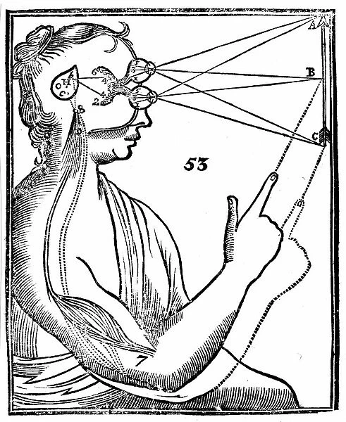 Descartes idea of vision, showing passage of nervous impulse from the eye to the pineal gland