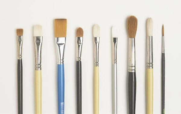 Nine different paint brushes, including round, flat, filbert, synthetic pointed, hog, sable, view from above