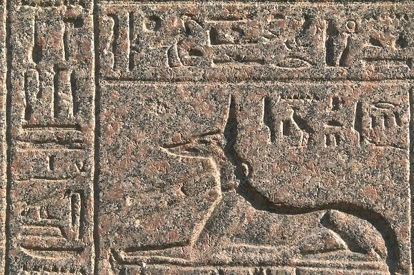 Egypt, Memphis, Amenhotep sarcophagus, Relief with Anubi as jackal