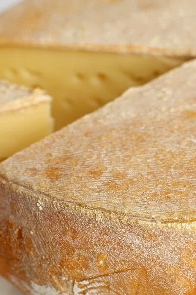 French Abbaye de Tamie cows milk cheese, close-up on rind