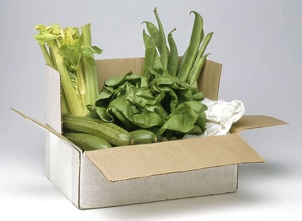 Fresh green vegetables in cardboard box