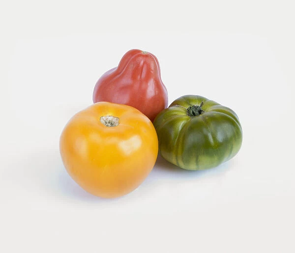 Fresh red, green, and yellow organic tomatoes