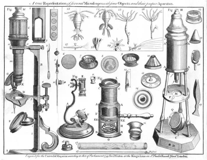 Framed Print : Engraved Print of Microscopes and Microscopic Objects Framed Print : Engraved Print of Microscopes and Microscopic Objects