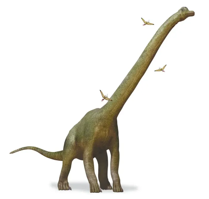 Framed Print : Brachiosaurus Arm Lizard Side View Print Framed Print : Brachiosaurus Arm Lizard Side View Print