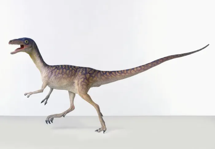 Framed Print : Compsognathus Bipedal Theropod Dinosaur Print Framed Print : Compsognathus Bipedal Theropod Dinosaur Print