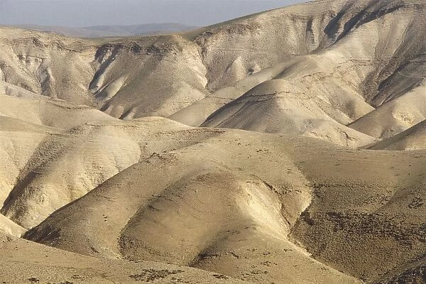 Israel, West Bank, Desert landscape